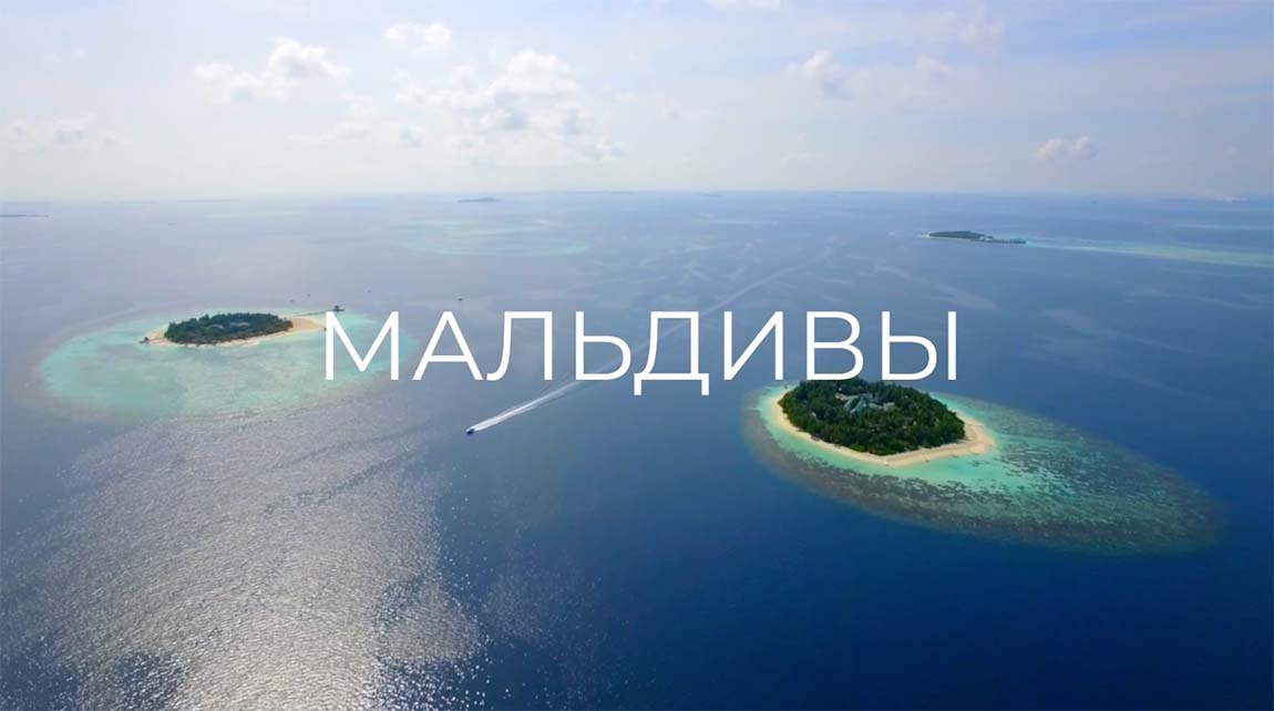 Выбери лучшее направление